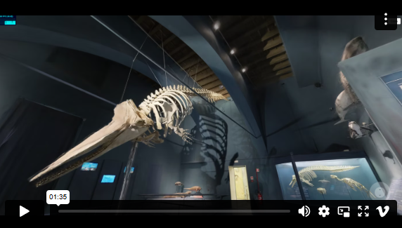 3D Visualization - Exibition Feature by LumaAI